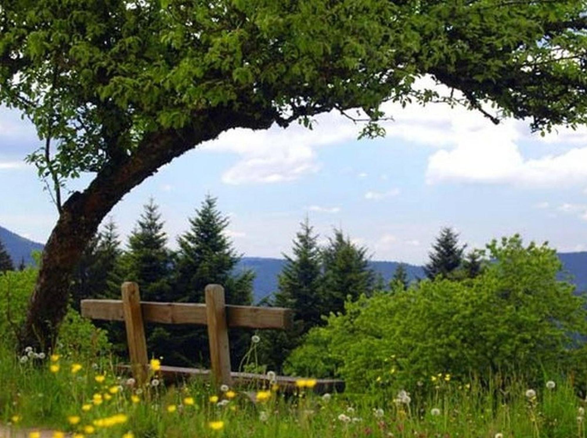 Landeckhof Villa Oberwolfach Екстериор снимка